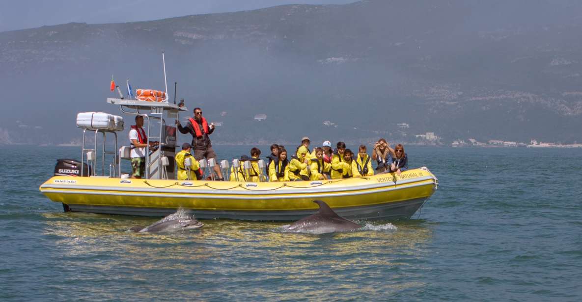 Lisbon: Dolphin Watching in Arrábida Natural Park - Key Points