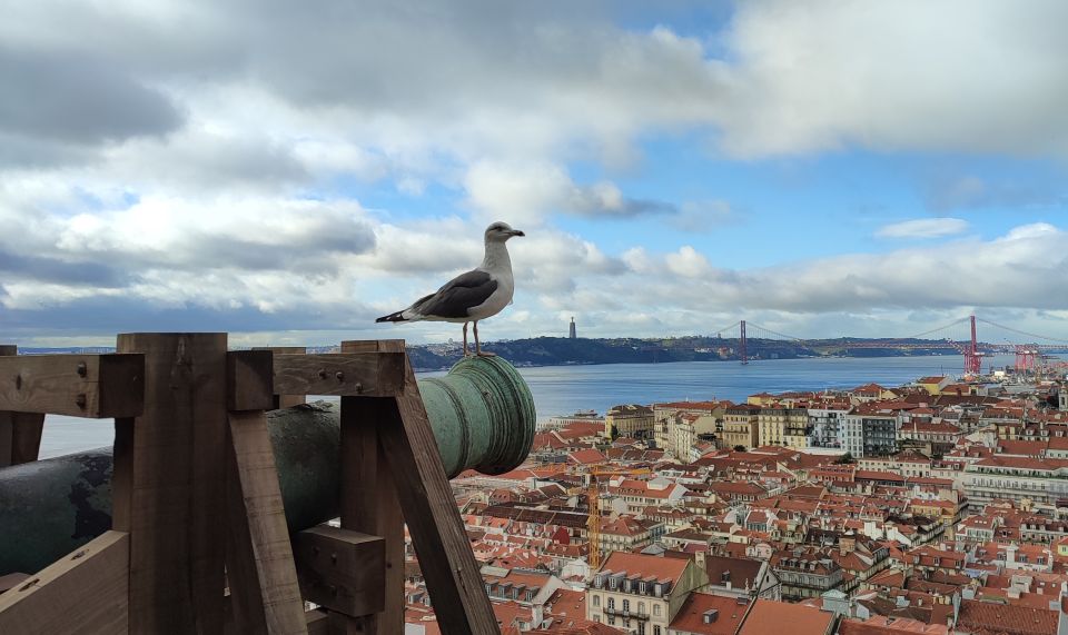 Lisbon: Saint George's Castle Guided Tour With Entry Ticket - Key Points