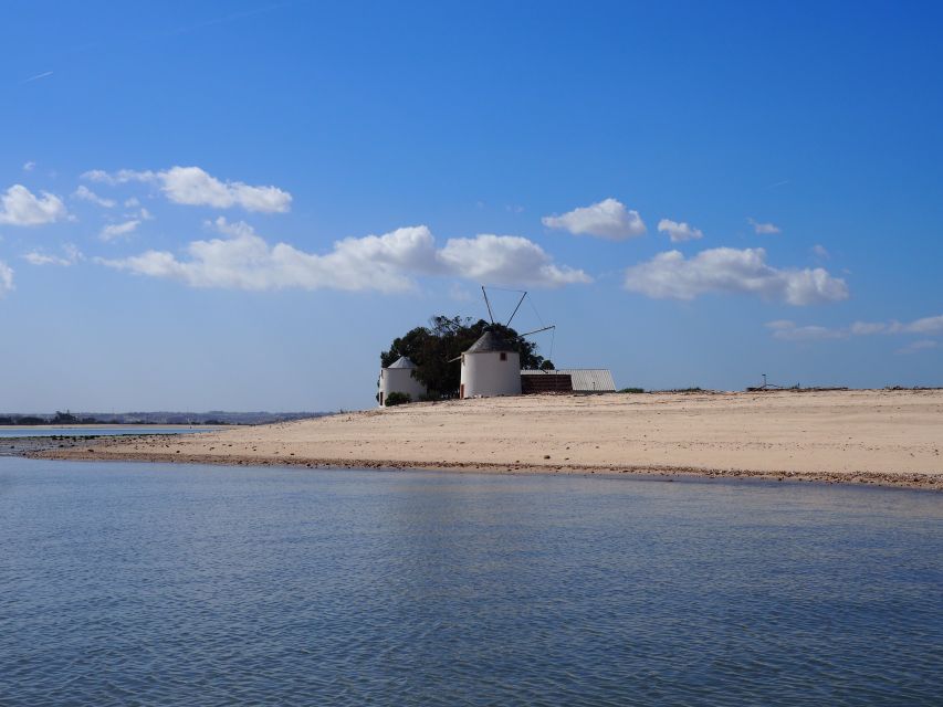 Lisbon: Tagus Estuary Nature Reserve Birdwatching Boat Tour - Key Points