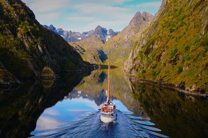 Lofoten Islands Luxury Trollfjord Cruise With Lunch From Svolvær - Key Points