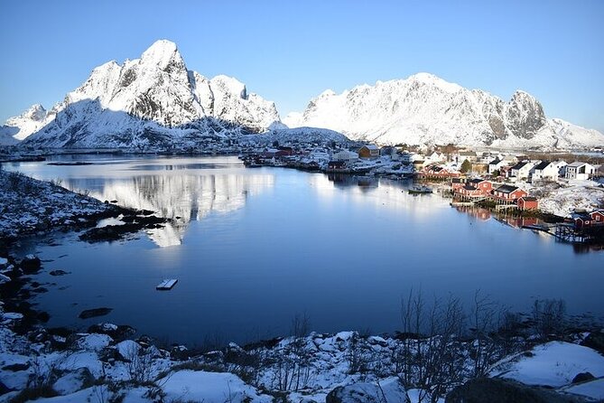 Lofoten PRIVATE Tour From Svolvaer - Large Group (5-8 Pax) - Tour Overview