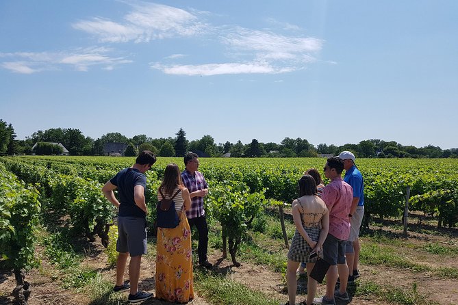 Loire Valley Half Day Wine Tour From Tours : Vouvray Wine Tasting - Just The Basics