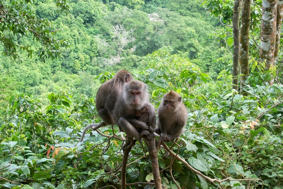 Lombok: North Lombok Exploration Tour (incl. Lunch) - Key Points