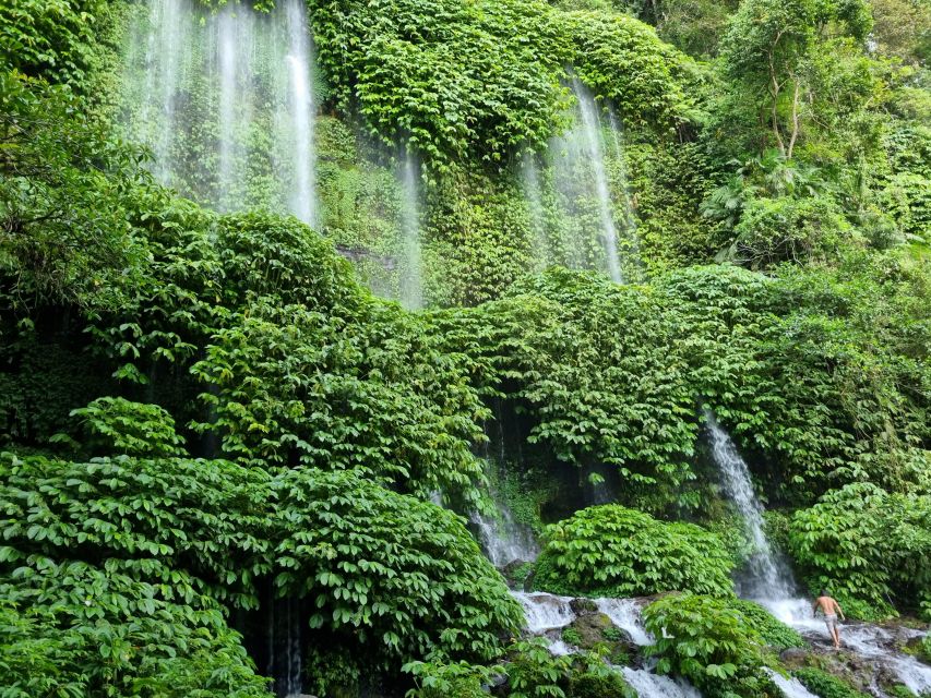 Lombok Rice Terrace Walking Tour & Benang Kelambu Waterfall - Key Points