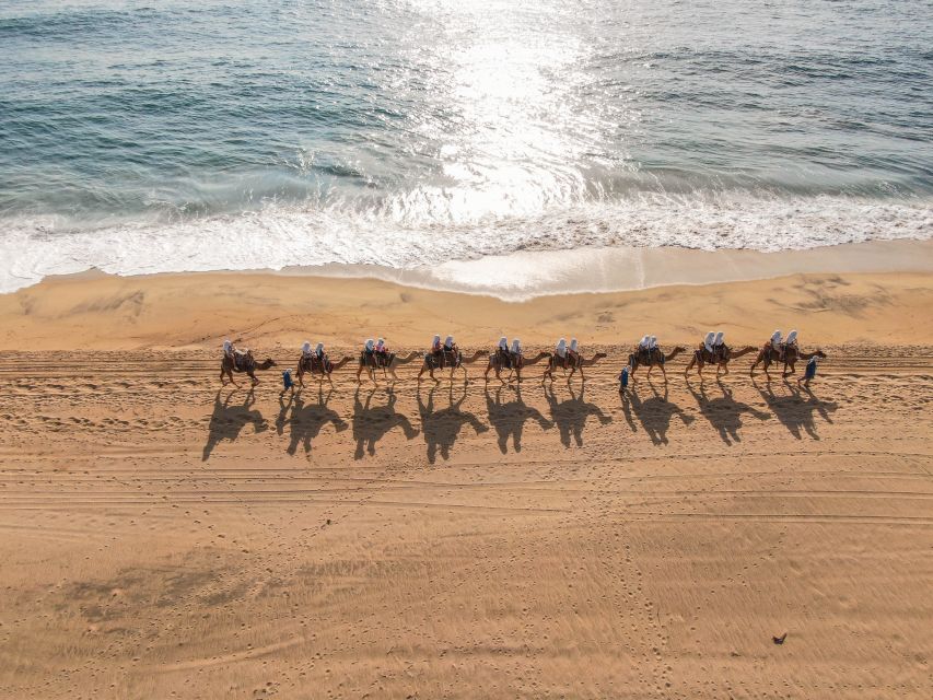 Los Cabos: Arch Tour by Speedboat and Camel Ride on Beach - Key Points