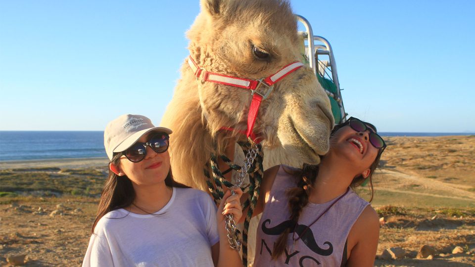 Los Cabos: Desert & Sea Camel Safari Tour With Lunch - Key Points