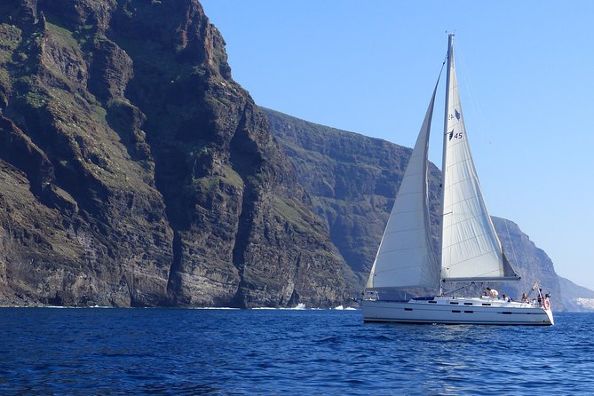 Los Gigantes Whale Watching Charter by Sail Boat - Just The Basics