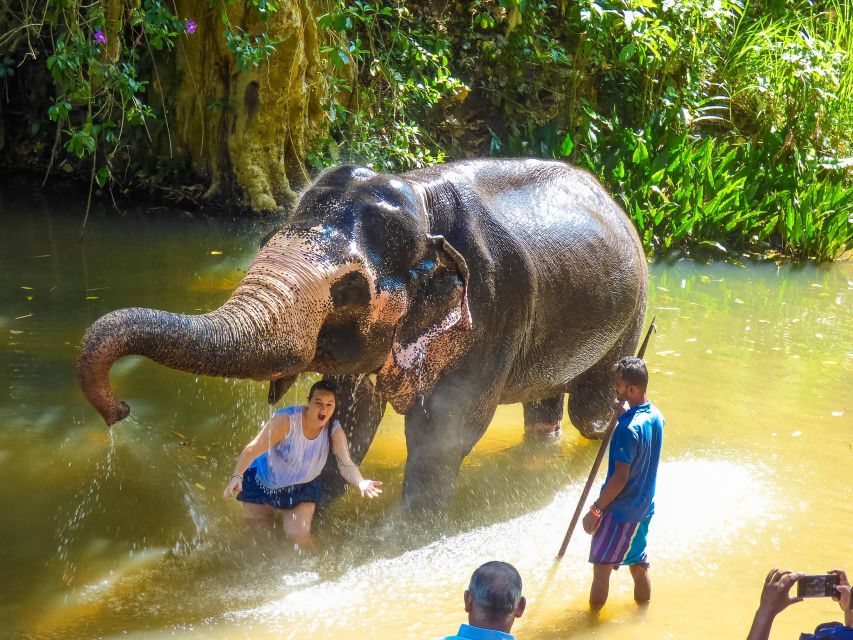 Luang Prabang Elepphant Keeper Bathe Option Kuangsi Tour - Key Points