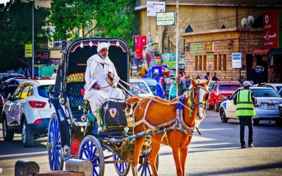 Luxor : Luxor City Tour By Horse Carriage - Key Points