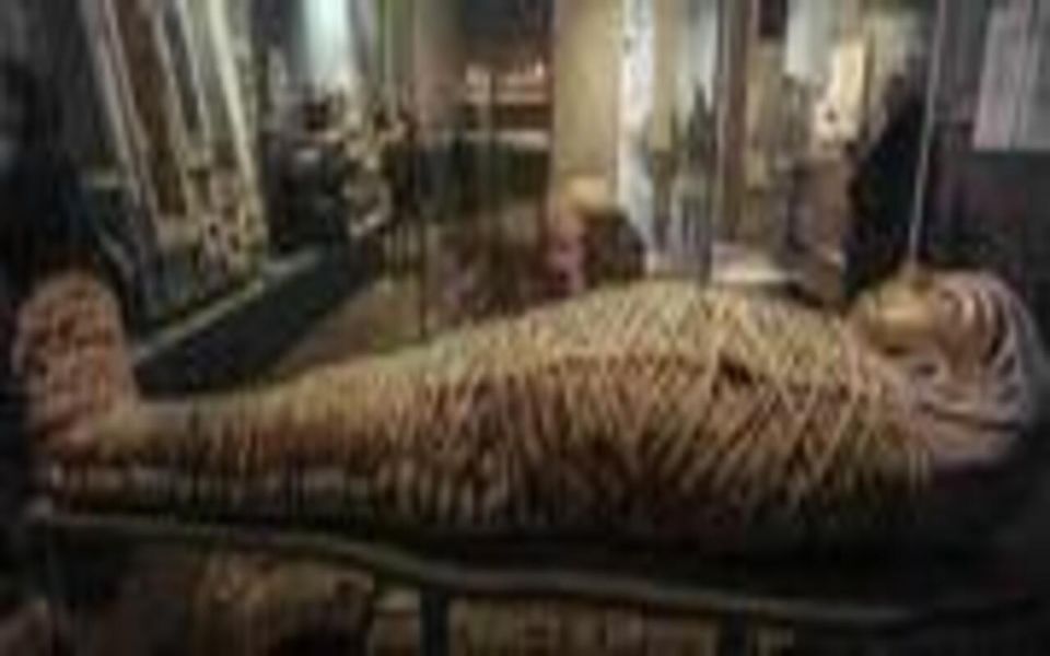 Luxor: Luxor Museum And Mummification Museum Private Tour - Key Points