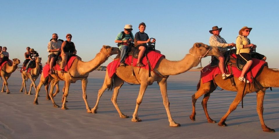 Luxor: Scenic Camel or Horse Ride - Key Points