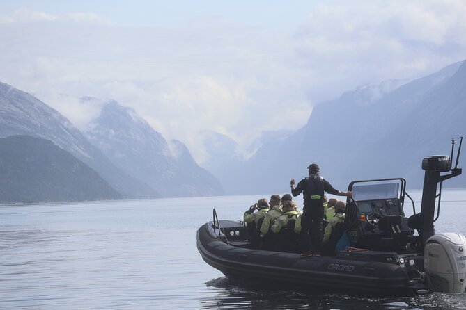 Lysefjord RIB Safari From Stavenger - Key Points