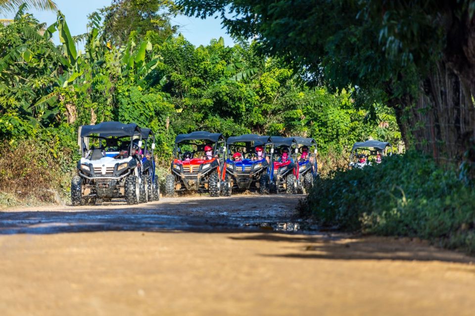 Macao Beach: Buggy Safari and Cenote Swimming With Pickup - Just The Basics