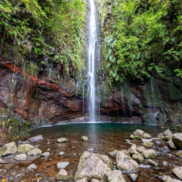 Madeira: 25 Fontes and Risco Levada Hike With Transfers - Key Points