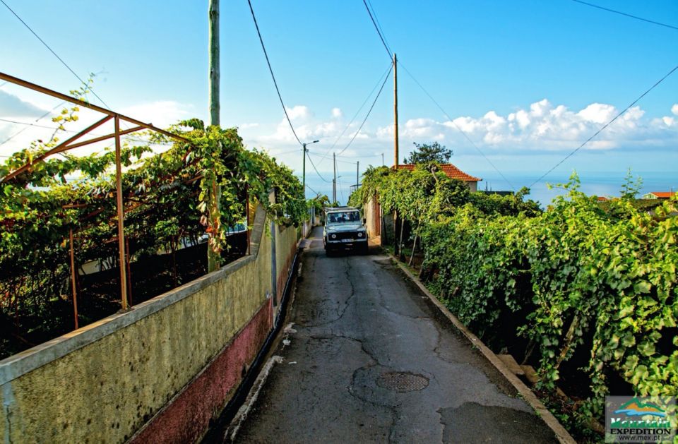 Madeira: Half-Day Nun's Valley and Sea Cliff Tour - Key Points