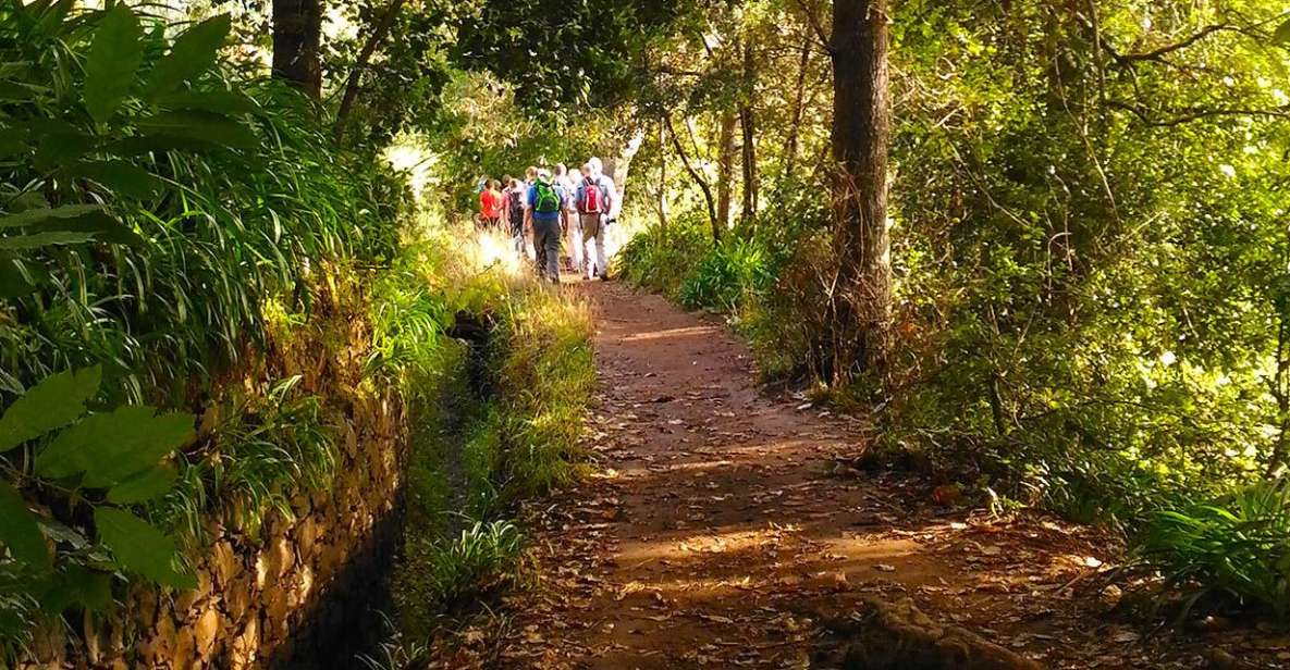 Madeira: Paradise Valley Levada Walk - Key Points