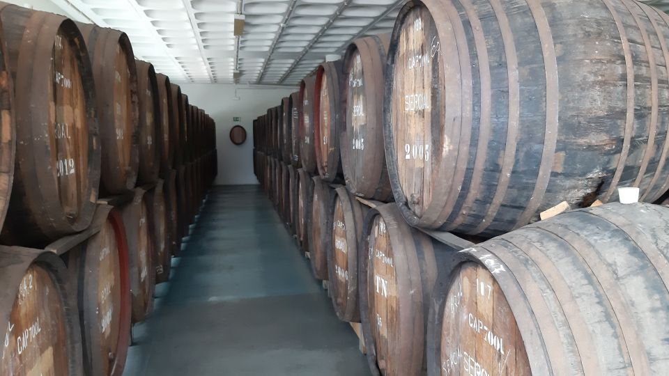 Madeira: Private Half-Day Wine Tasting Tour - Key Points