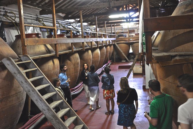 Madrid Countryside Wineries Guided Tour With Wine Tasting - Just The Basics