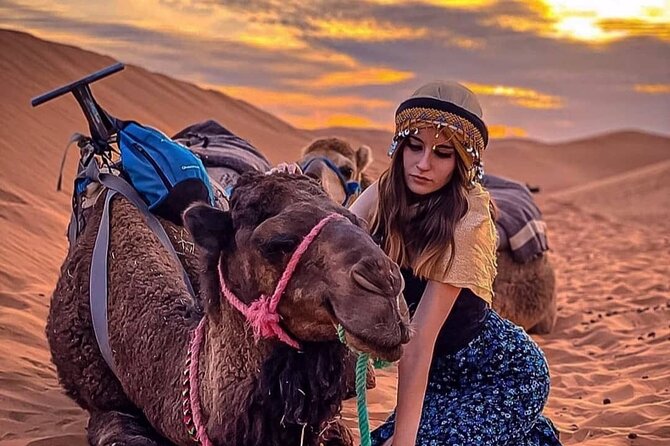 Magical Dinner With Camel Ride at Sunset in Agafay Desert - Key Points