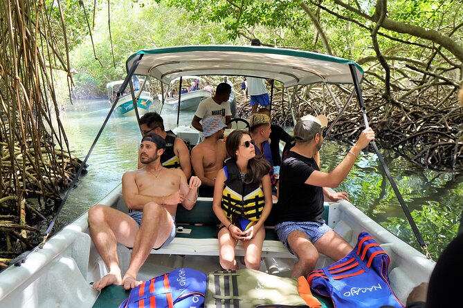 Magical Full-Day Tour Through the Mangroves and the Beach in Isla De Barú