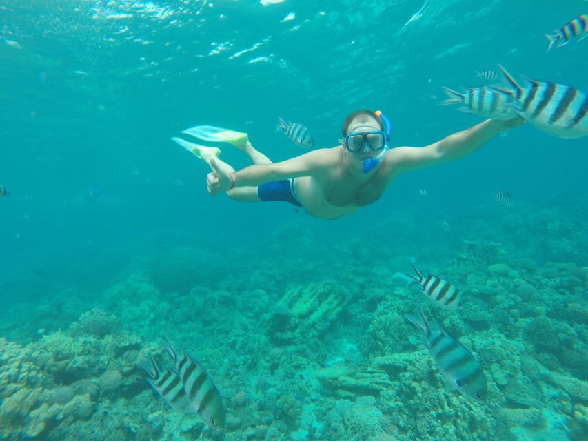 Makadi Bay: Snorkelling and Diving Island Trip - Key Points