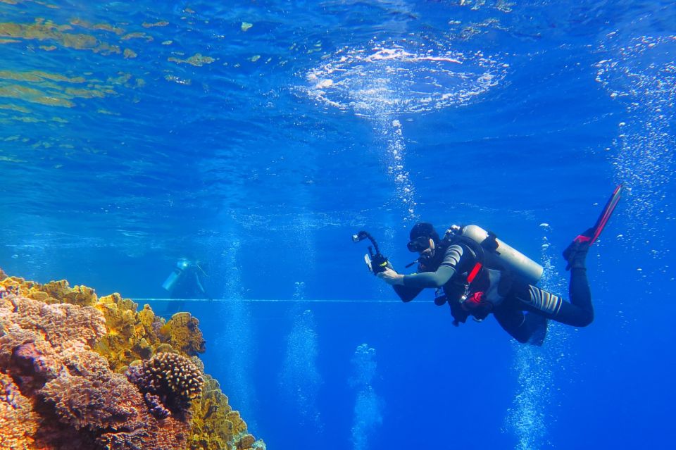 Makadi: Orange Island Snorkeling, Diving, and Water Sports - Key Points