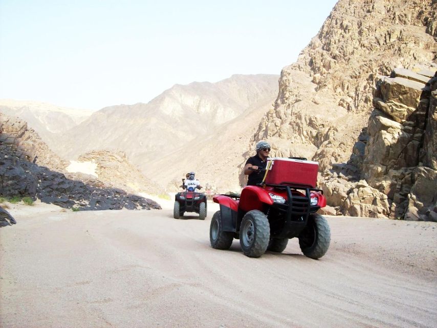 Makadi: Quad, Jeep, Camel and Buggy Safari With BBQ Dinner - Key Points