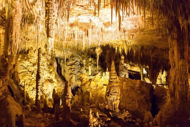 Mammoth Cave Self-guided Audio Tour (Located in Western Australia) - Just The Basics