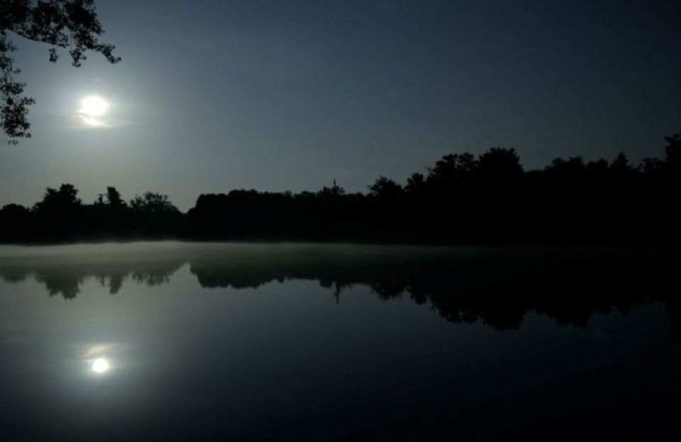 Manaus: Amazon Jungle Tour With Alligator Night Watch - Tour Details