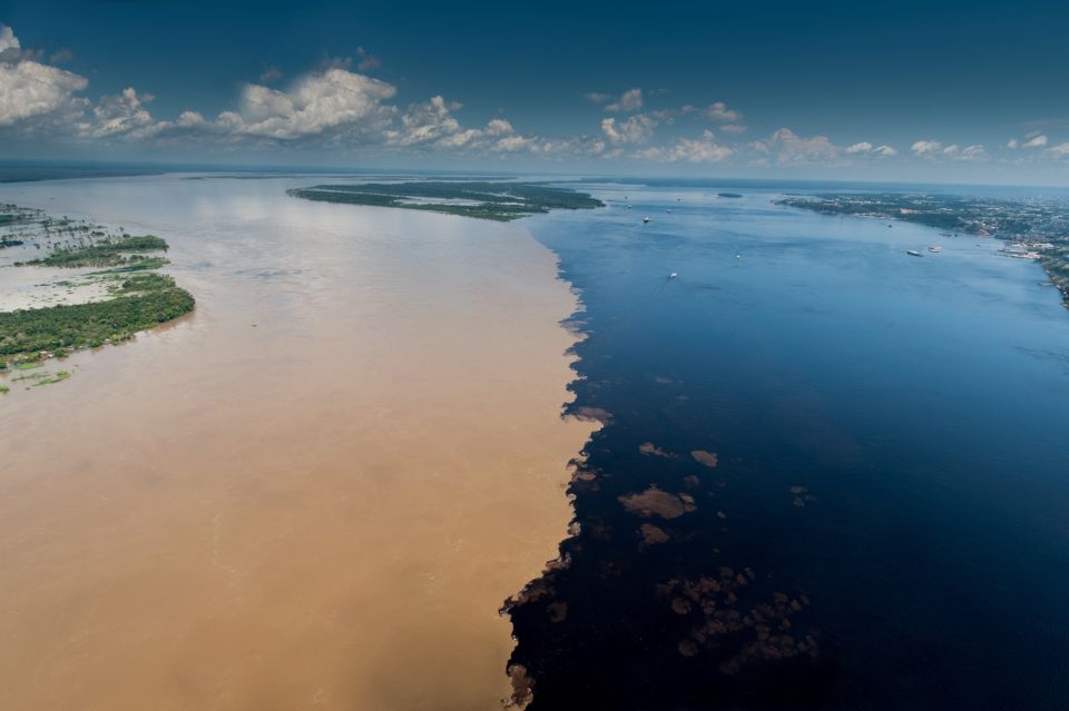 Manaus: Meeting of the Waters & Pink Dolphin Tour With Lunch - Key Points