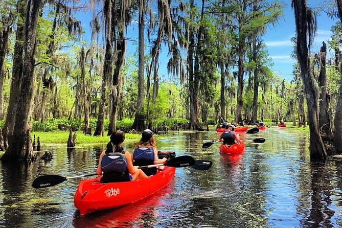 Manchac Swamp Kayak Small-Group Tour - Just The Basics