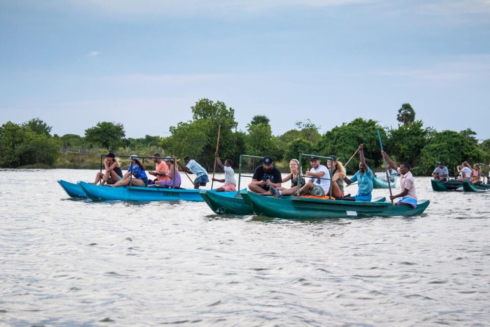 Mangrove Lagoon Safari - Key Points