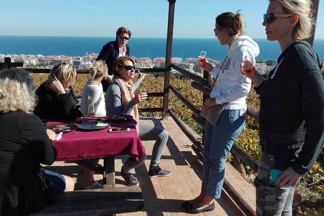 Manilva Oceanfront Wine Experience in the Marbella Area - Key Points