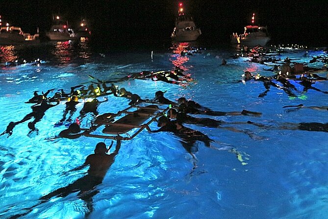 Manta Magic - Night Manta Ray Snorkel At Manta Village, Kona, Hawaii - Just The Basics