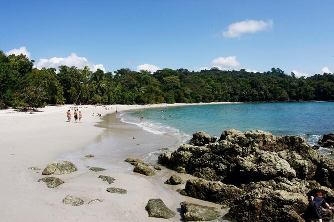 Manuel Antonio National Park Sightseeing and Wildlife Day Tour From San Jose - Key Points