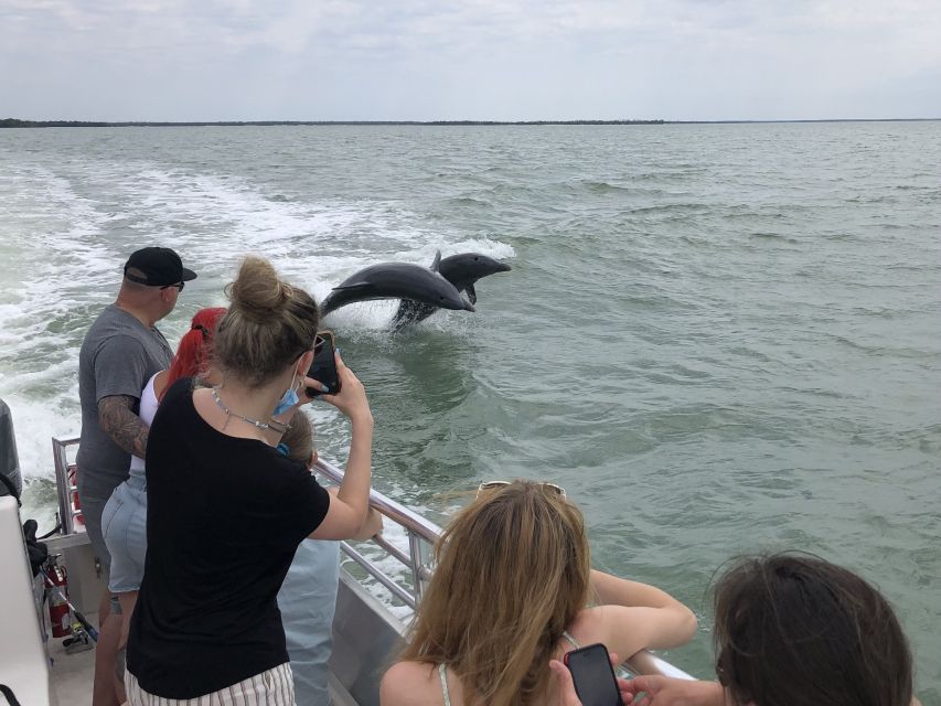 Marco Island: 1Ten Thousand Islands Dolphin & Shelling Tour - Key Points