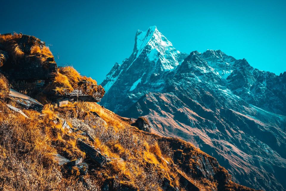 Mardi Himal Trek - Key Points