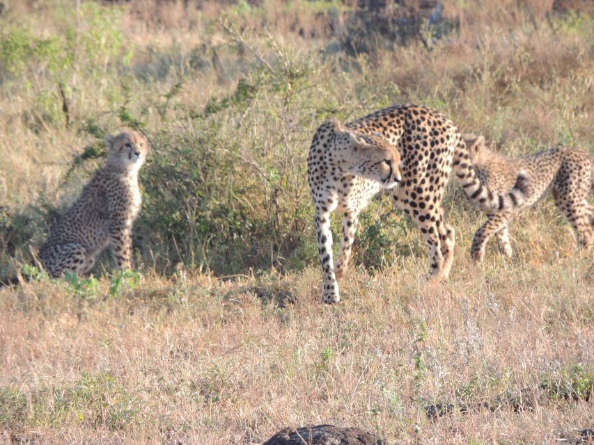 Marloth Park: Kruger National Park Safari Game Drives - Key Points