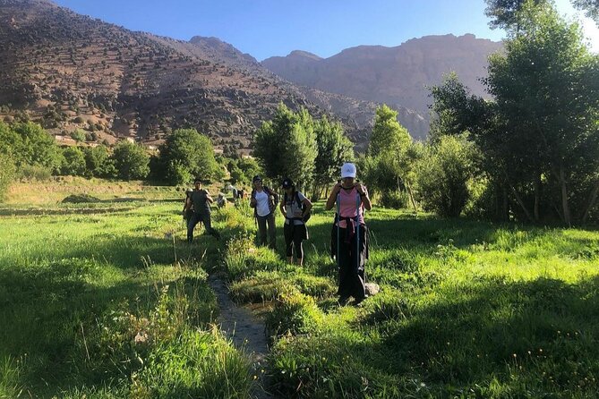 Marrakech: 2-Day Atlas Mountains Trek With Village Stay - Key Points
