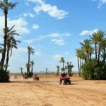 marrakech desert and palm grove quad bike tour Marrakech Desert and Palm Grove Quad Bike Tour