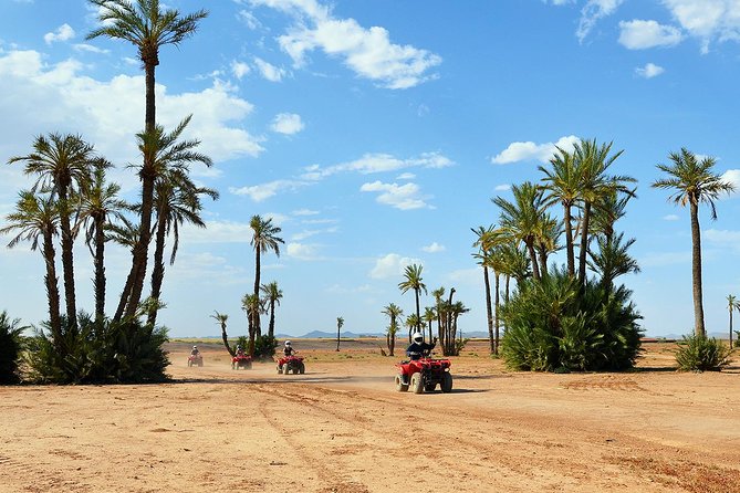 Marrakech Desert and Palm Grove Quad Bike Tour