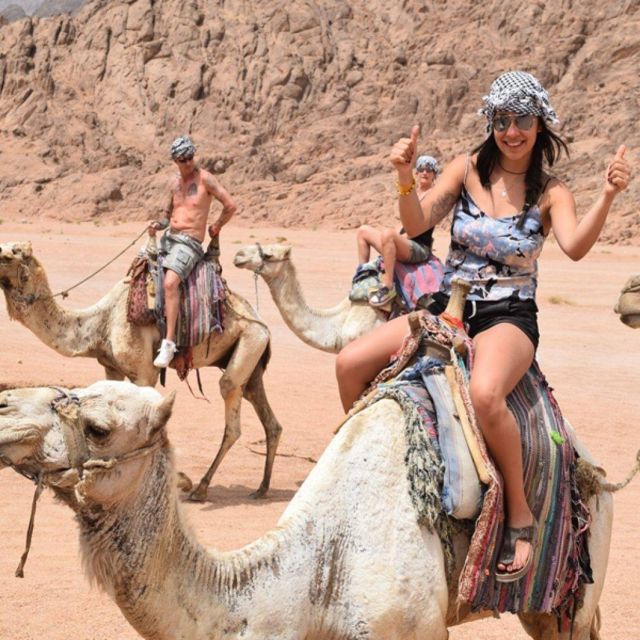 Marsa Alam: Desert Stargazing Tour With Camel Ride & Dinner - Key Points