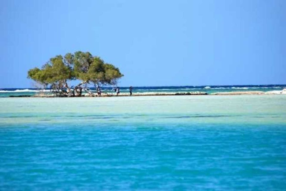 Marsa Alam: Hamata Islands Snorkeling Trip With Lunch - Key Points