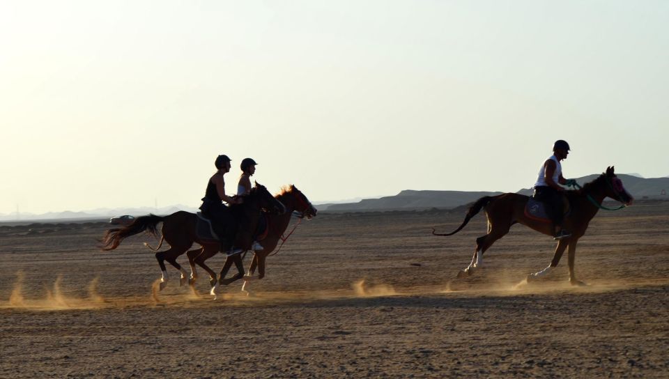 Marsa Alam: Sea and Desert Horse Riding Tour - Key Points