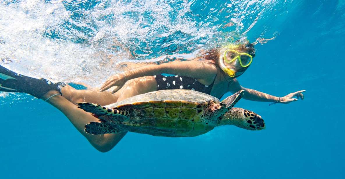 Marsa Alam: Snorkeling Boat Trip With Sea Turtles and Lunch - Key Points