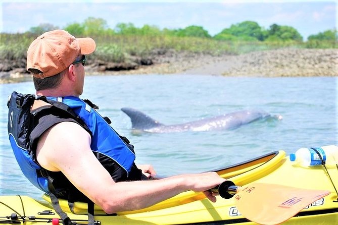 Marsh Kayaking Eco-Tour in Charleston via Small Group (Mar ) - Just The Basics