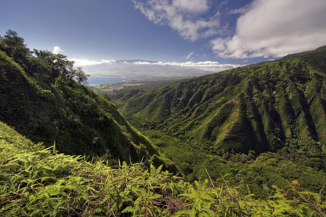 Maui Horseback-Riding Tour - Just The Basics