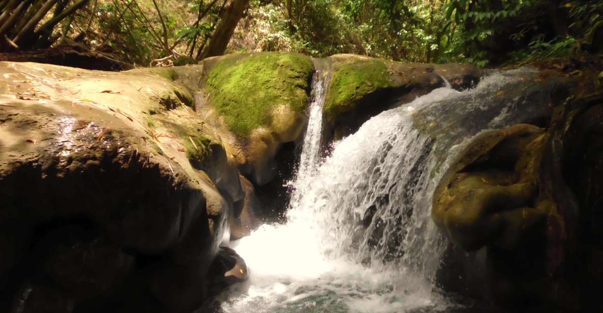 Mayfield Falls and Rick's Café Tour With Transportation - Just The Basics