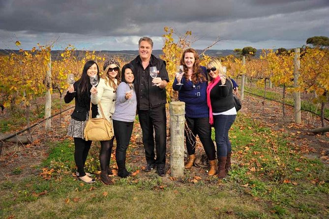 Mclaren Vale Winery Small Group Tour With Wine Tasting and Lunch - Just The Basics