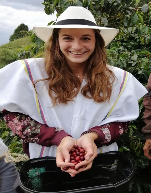 Medellín Coffee Farm Tour With Trolley and Cable Car Ride - Key Points